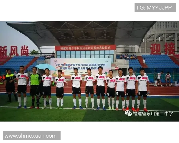 深圳足球队在联赛中的团队协作表现分析与展望